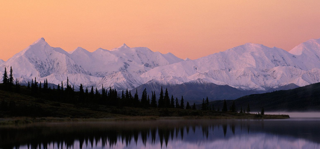 denalis in alaska