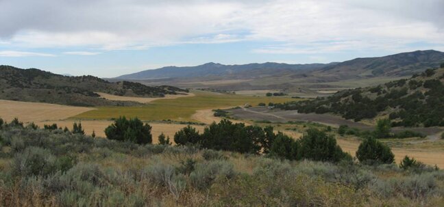 idaho grasslands